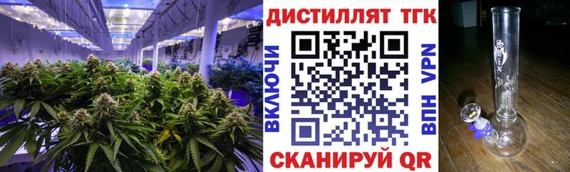 Купить  Вихоревка  ТГК THC oil 