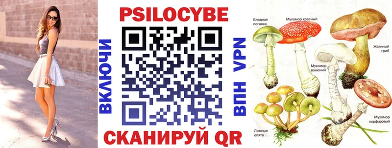 Купить  Вихоревка  Псилоцибиновые грибы Psilocybine cubensis 